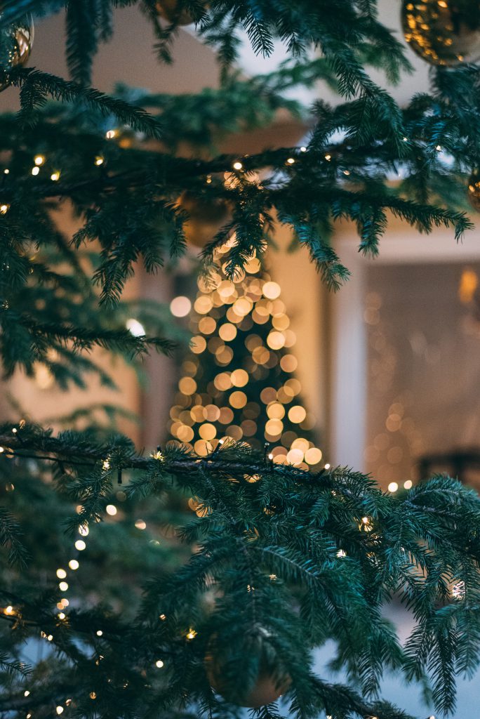 Weihnachtsbeleuchtung am Tannenbaum, im Vordergrund Tannenzweige